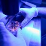 NAD+ research compound use in lab studies