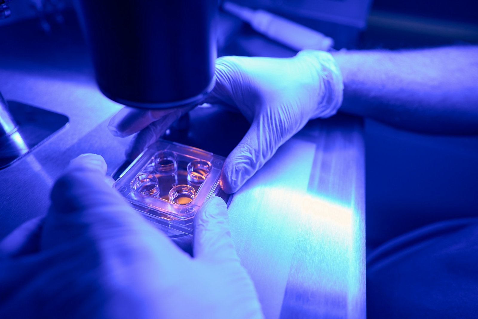NAD+ research compound use in lab studies
