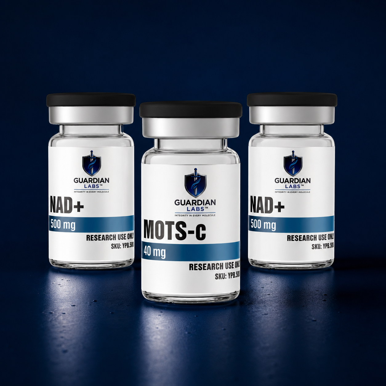 Endurance & Energy Starter Bundle